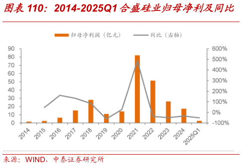 谁能回答2014-2025Q1 合盛硅业归母净利及同比
