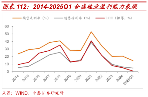 各位网友请教一下2014-2025Q1 合盛硅业盈利能力表现
