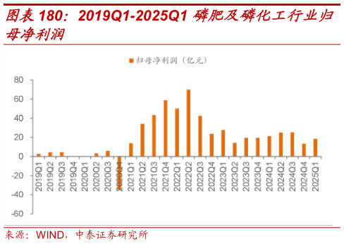 想关注一下2019Q1-2025Q1 磷肥及磷化工行业归?