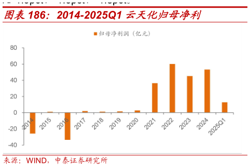 咨询大家2014-2025Q1 云天化归母净利?