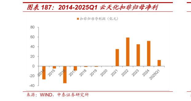一起讨论下2014-2025Q1 云天化扣非归母净利?