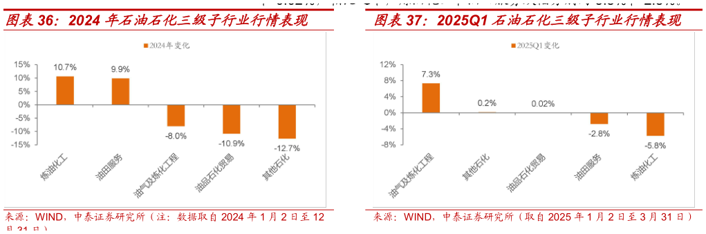 如何了解2024 年石油石化三级子行业行情表现