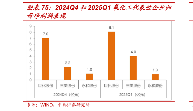 各位网友请教一下2024Q4 和2025Q1 氟化工代表性企业归