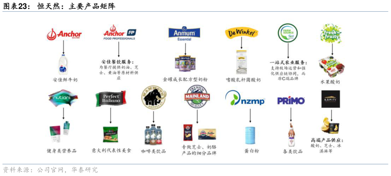 咨询大家恒天然：主要产品矩阵