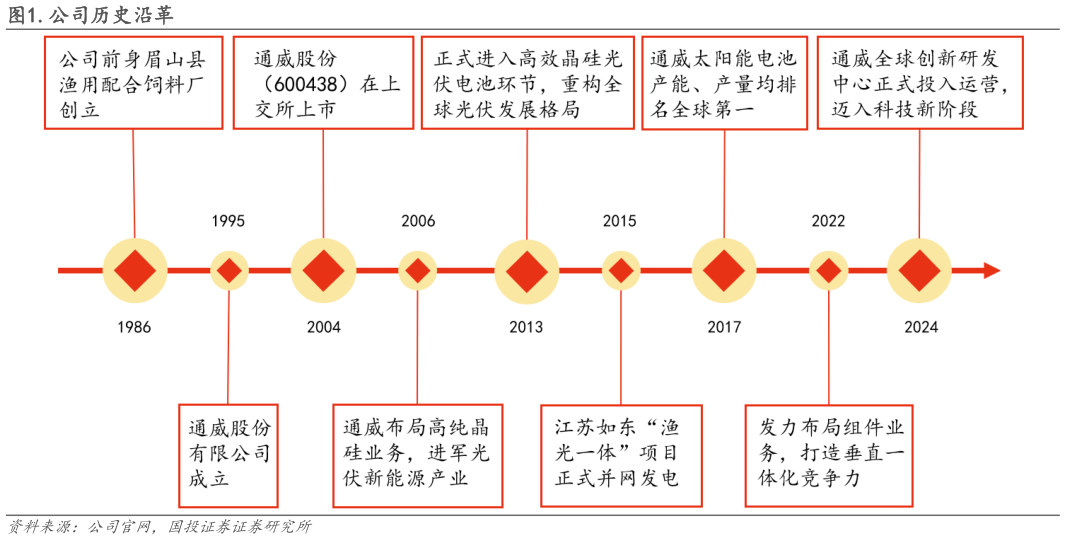 如何解释.公司历史沿革?