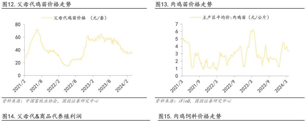 咨询大家.父母代鸡苗价格走势.肉鸡苗价格走势?