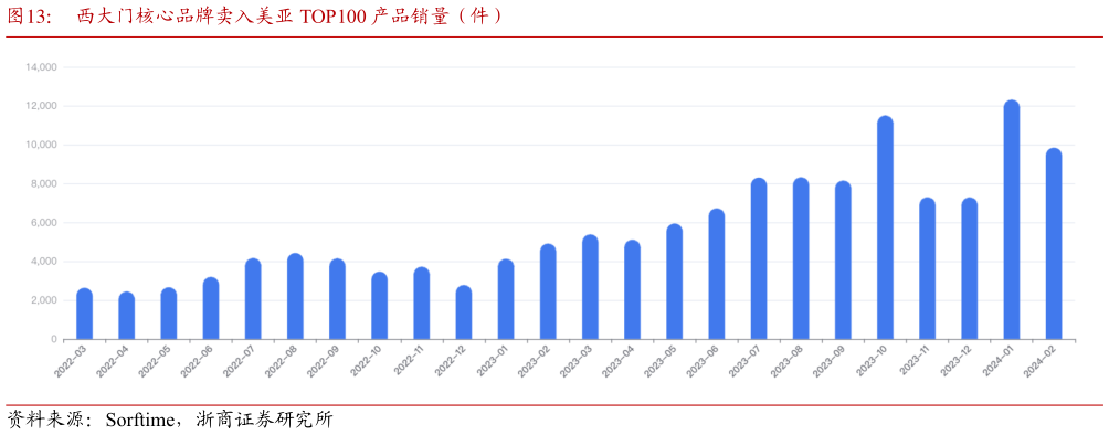 我想了解一下西大门核心品牌卖入美亚 TOP100 产品销量（件）