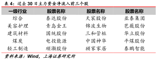 咨询下各位过去 30 日主力资金净流入前三个股