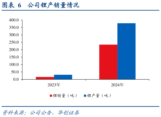 怎样理解公司锂产销量情况