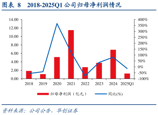 各位网友请教一下2018-2025Q1 公司归母净利润情况