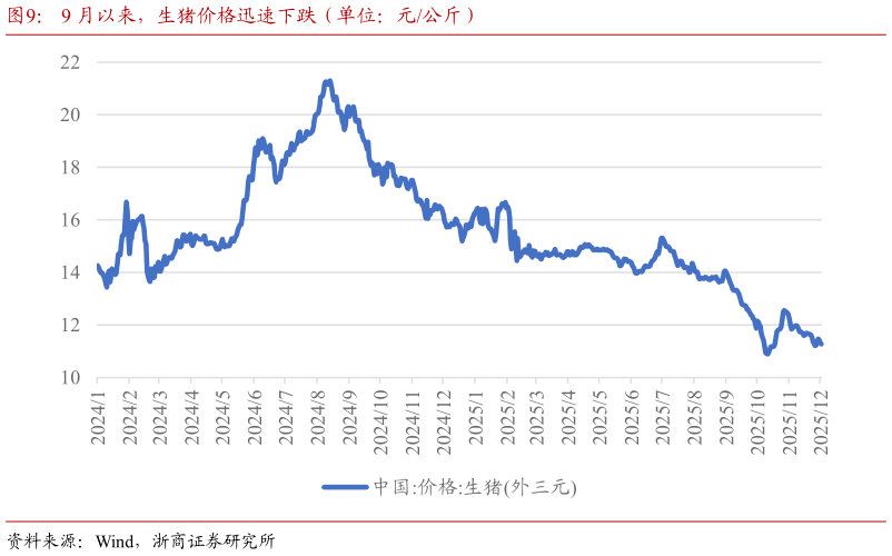 想关注一下9 月以来，生猪价格迅速下跌（单位：元公斤）
