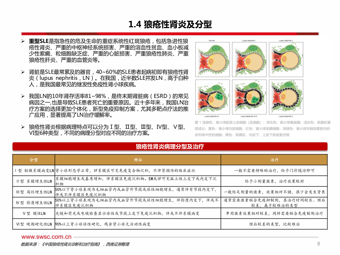 如何看待1.4 狼疮性肾炎及分型?