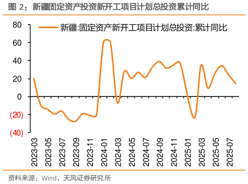 各位网友请教一下新疆固定资产投资新开工项目计划总投资累计同比