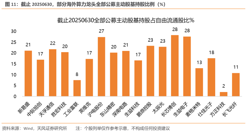 如何才能截止 20250630，部分海外算力龙头全部公募主动股基持股比例（%）