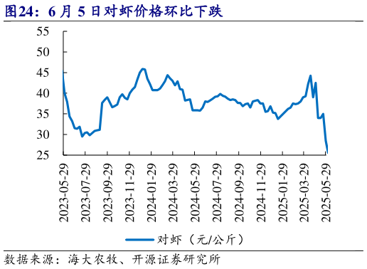 如何解释6 月 5 日对虾价格环比下跌?