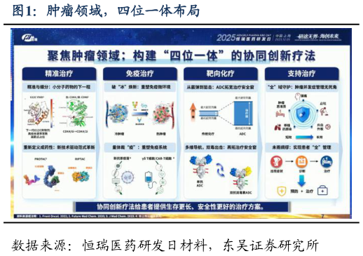 想关注一下肿瘤领域，四位一体布局?