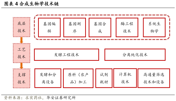 各位网友请教一下合成生物学技术链?