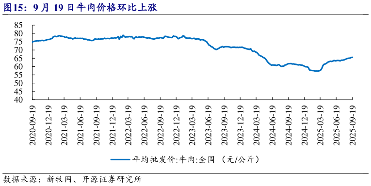 我想了解一下9 月 19 日牛肉价格环比上涨