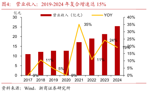 咨询大家营业收入：2019-2024 年复合增速达 15%