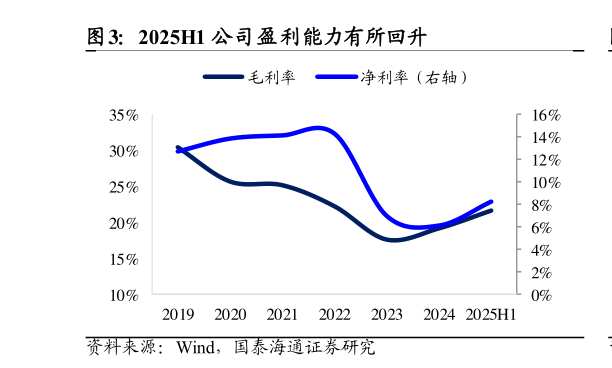 如何解释2025H1 公司盈利能力有所回升