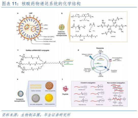 如何了解核酸药物递送系统的化学结构?