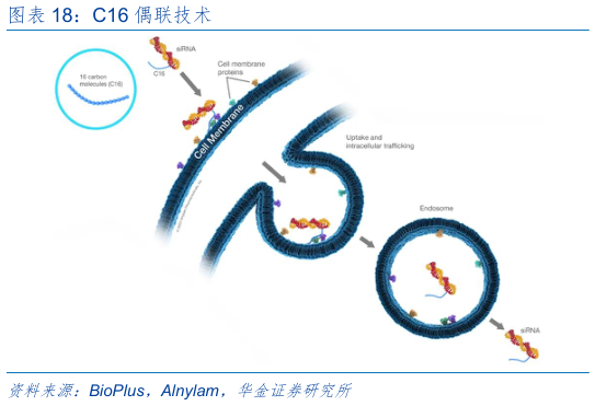 你知道C16 偶联技术?