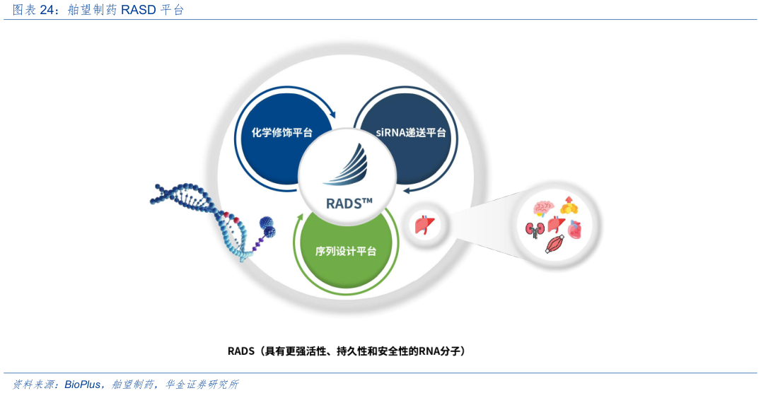 如何了解舶望制药 RASD 平台?