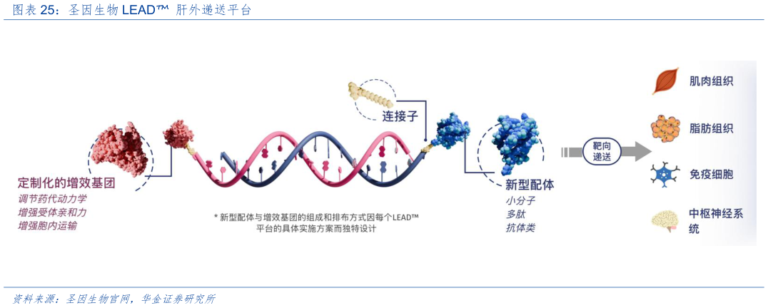 一起讨论下圣因生物 LEAD 肝外递送平台?
