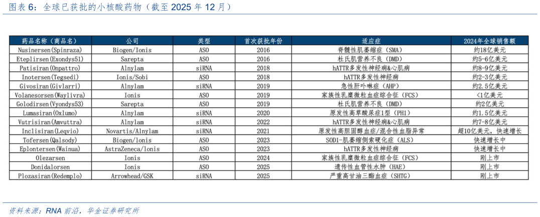 如何了解全球已获批的小核酸药物（截至 2025 年 12 月）?