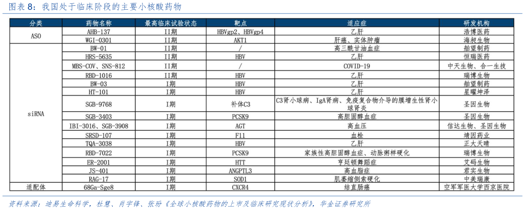 咨询下各位我国处于临床阶段的主要小核酸药物?
