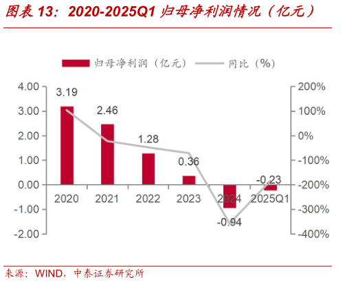 想关注一下2020-2025Q1 归母净利润情况(亿元)?