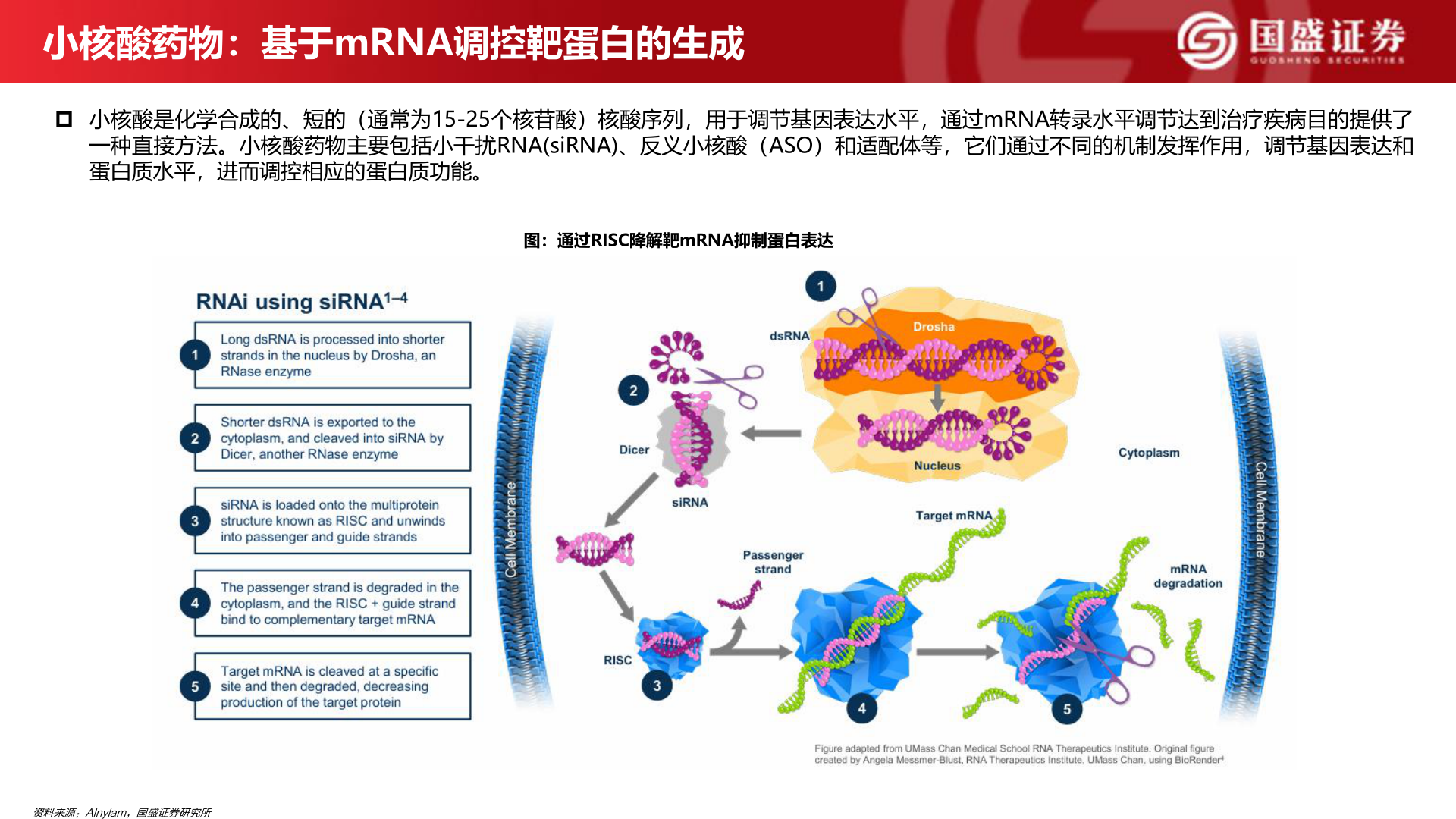 想问下各位网友小核酸药物：基于mRNA调控靶蛋白的生成