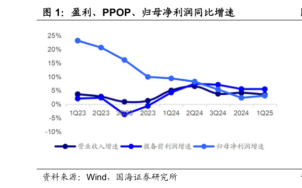 如何看待盈利、PPOP、归母净利润同比增速