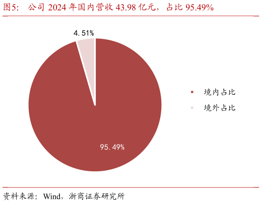 如何看待公司 2024 年国内营收 43.98 亿元，占比 95.49%?