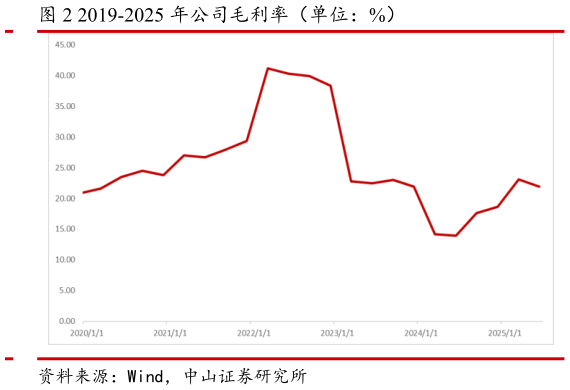 怎样理解2019-2025 年公司毛利率（单位：%）