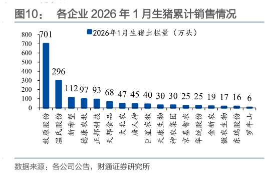 谁知道各企业 2026 年 1 月生猪累计销售情况