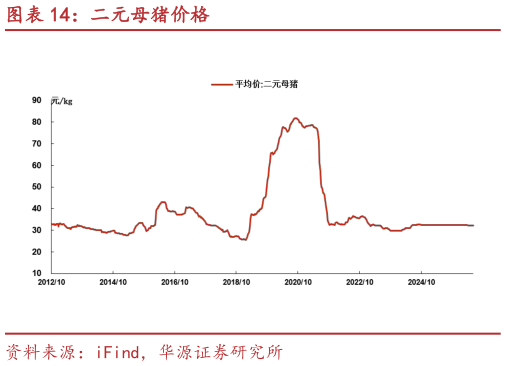 如何解释二元母猪价格?