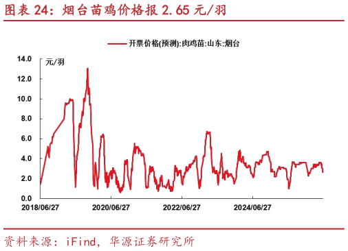 我想了解一下烟台苗鸡价格报 2.65 元羽?