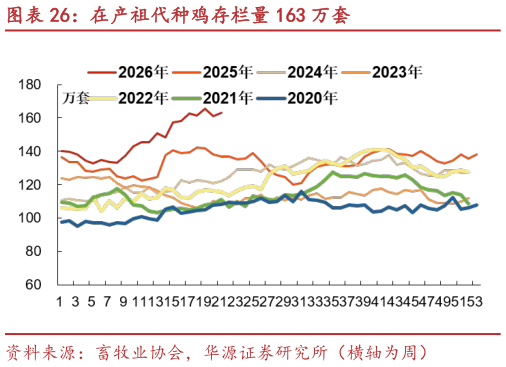 如何看待在产祖代种鸡存栏量 163 万套?