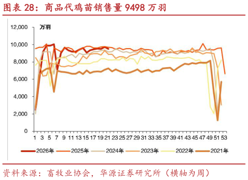 谁知道商品代鸡苗销售量 9498 万羽?