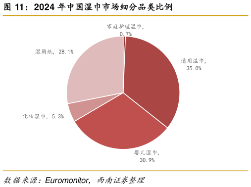 想关注一下2024 年中国湿巾市场细分品类比例