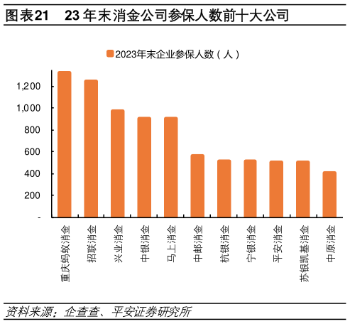 想关注一下23 年末消金公司参保人数前十大公司?