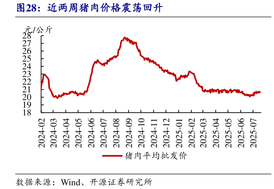 我想了解一下近两周猪肉价格震荡回升