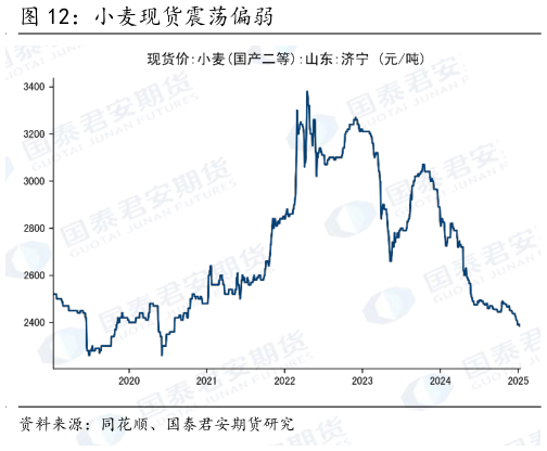 咨询大家小麦现货震荡偏弱