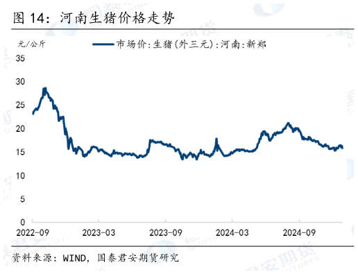 咨询大家河南生猪价格走势