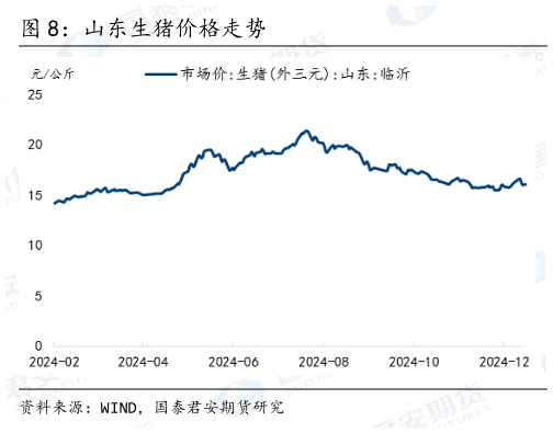 怎样理解山东生猪价格走势