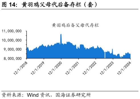 如何看待黄羽鸡父母代后备存栏(套)?