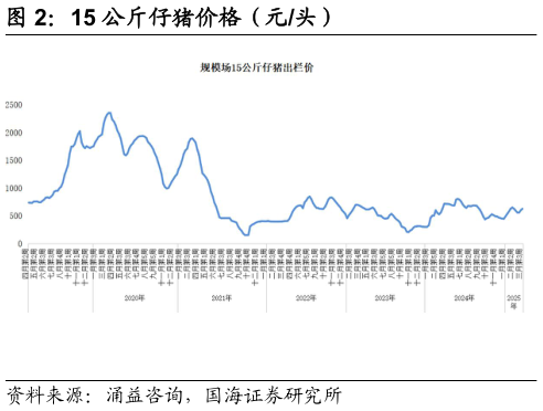 如何才能15 公斤仔猪价格（元头）?