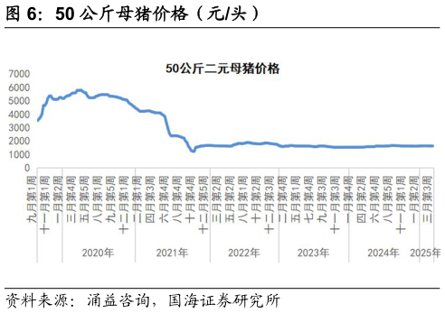 我想了解一下50 公斤母猪价格（元头）?