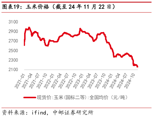 你知道玉米价格（截至 24 年 11 月 22 日）?